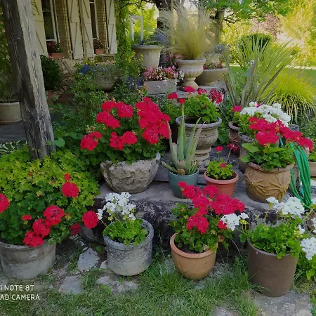 Mas De Sudre Bed & Breakfast Gaillac